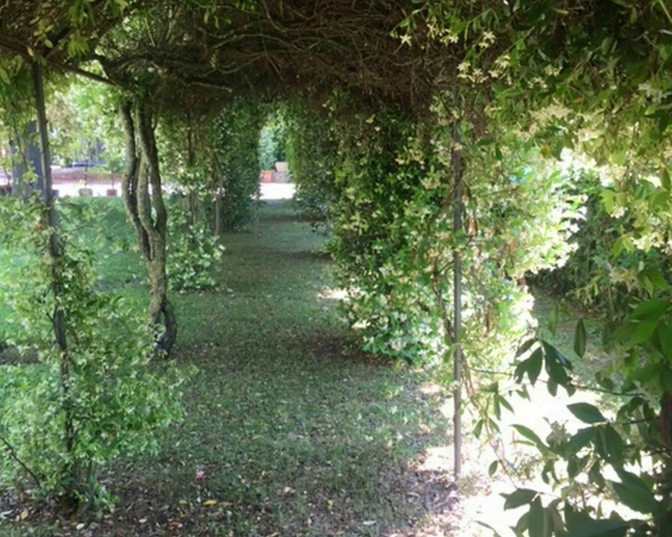 Relais Montemaggiore Bettolle Bed & Breakfast